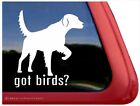 Got Birds?  | English Setter Gun Dog Vinyl Window Decal Sticker