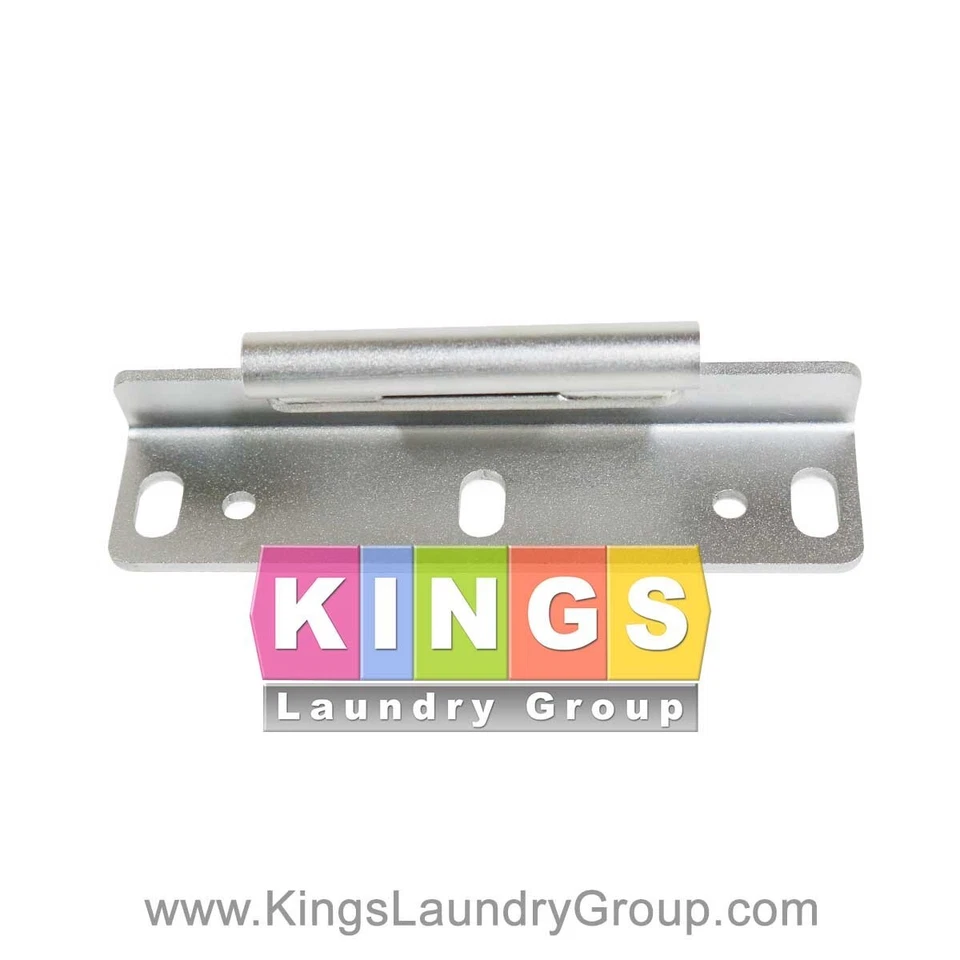 9955-029-002 HINGE, DOOR FOR DEXTER WASHER, REPLACES 9243-079-001 - Image 1 of 1