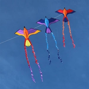 Kids Delta Kite Tropical Parrot Stack Train + Line + Tails + Carry Bag LOT OF-3 - Picture 1 of 6