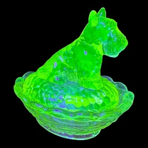 Boyd Uranium Glass Scotty Dog Covered Salt In Vaseline Carnival Made 04/12/2003 - Picture 1 of 18