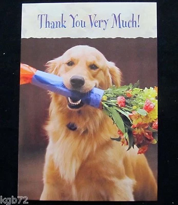 Leanin Tree Thank You Dog Dogs Humor Greeting Card Multi Color R143 - Image 1 of 2