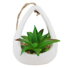  Plastic Simulated Succulent Mini Plants House Decorations For Home