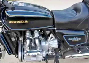 Honda GL1000 1977 juego completo de calcomanías alfiler rayas advertencia calcomanías - negro - Imagen 1 de 8