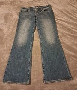 American Eagle Outfitters Favorite Boyfriend Low Rise Stretch Jeans Sz. 12R - Picture 1 of 10