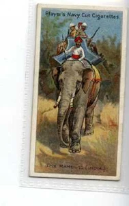 (Je1733) JUGADORES, JINETES DEL MUNDO, EL MAHOUT (INDIA), 1905,#37 - Imagen 1 de 2