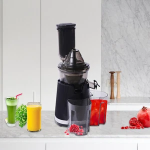 Juicer Machine Slow Masticating Juicer Cold Press Juicer for Fruits Vegetables - Picture 1 of 12