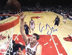 Aaron Gray Chicago Bulls Autographed 8x10 Photo COA N2 Pitt Panthers - Picture 1 of 1