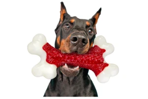 Giocattolo da masticare per cani indistruttibile aggressivo masticatore robusto esercizio giocattoli interattivi - Foto 1 di 8