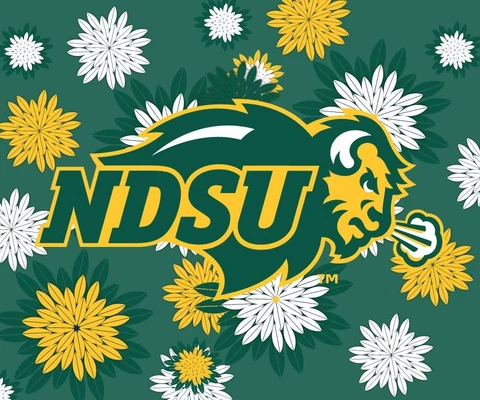 NORTH DAKOTA STATE 5" X 6" FLORAL MAGNET-NDSU BISON CAR MAGNET-NEW FOR 2016 Cover