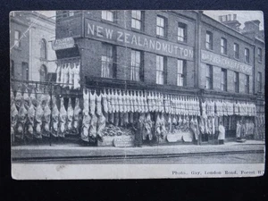 Forest Hill FLETCHERS BUTCHER New Zealand Mutton & America Beef c1905 Postcard - Picture 1 of 6