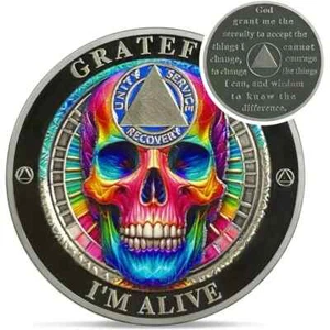 Sobriety Challenge Coin Rainbow Skull AA Medallion Motivational Recovery Token - Picture 1 of 5