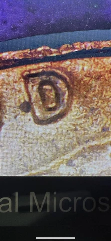1981 Lincoln Memorial Penny Error (DDO) Doubled Die Obverse Cover