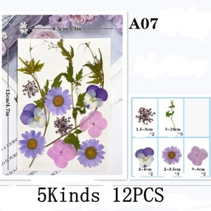 12PCS Real Pressed Dry Flower collection, Flowers leaves as picture FHT504 - Picture 1 of 1