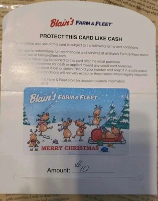 BAIN'S FARM & FLEET Gift Card Christmas  $10  A - Image 1 of 3