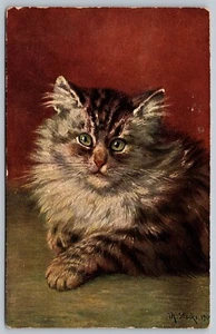 Postcard c1909 Artist Signed M. Stocks Head Study of Cat Art - Bild 1 von 2