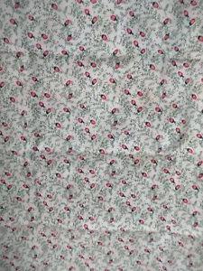 "GARDEN PARTY" LADYBUGS ALLOVER BY MAYWOOD STUDIO EESCO FABRICS FABRIC 1YDX42 - Picture 1 of 7