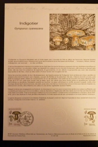 France Museum Postal FDC 30-87 Mushroom Indigo Tree 2F Paris 1987 - Image 1 of 1