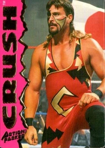1995 Action Packed WWF Pro Wrestling Card #12 Crush Rookie RC - Picture 1 of 2