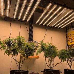 Folded 1000W LED Grow Light Commercial Full Spectrum Indoor Veg Bloom Plants Bar - Picture 1 of 12