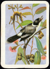 Swap Card - Tuckfield Tea Bird Series Type E #65 Grey Butcher-Bird *S495*