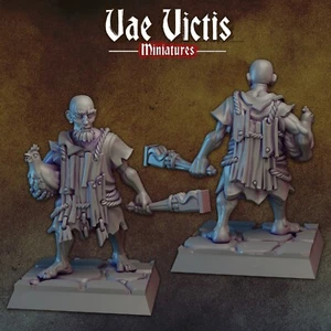 "Old Chicken Man Hero" Vae Victis Miniatures D&D Warhammer Mordheim Frostgrave - Picture 1 of 1