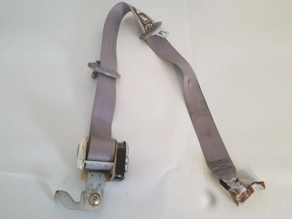 Ford Mustang 1997-04 cupé cinturón de seguridad trasero paso derecho gris 98 99 2000 01 02 03 OEM Foto 1 de 2