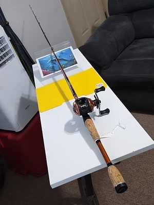 Удилище рыболовное удилище Berkley Lightning Shock 6 футов 6 дюймов среднее 20-30 фунтов и катушка для окуня... - Изображение 1 из 4