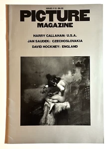 PICTURE Magazine Issue #12 June/July 1979 Large 16x11 Mapplethorpe, Saudek, more - Picture 1 of 13