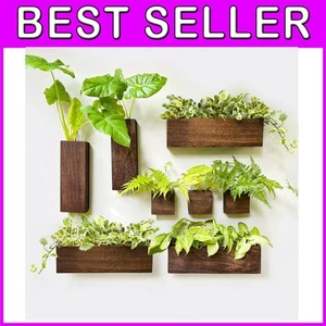 Versatile 8-Pack Wood Hanging Planters for Creative Indoor Plant Displays - Picture 1 of 8