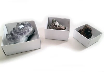 24 scatoline in cartone per minerali conchiglie e fossili da montare - Immagine 1 di 3