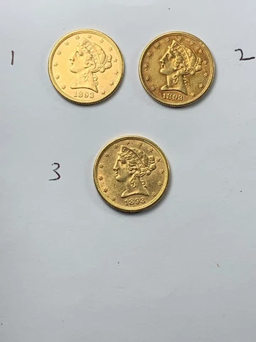 1893 $5 Five Dollar Liberty Head Gold Half Eagle Cover
