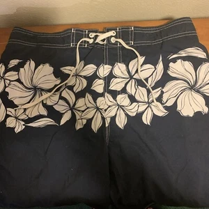 Men's Speedo Swim Trunks Large - Picture 1 of 3