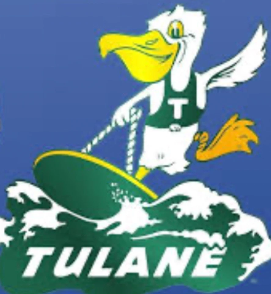 Letrero de metal vintage de 12x8 pulgadas con logotipo de pelícano mascota onda verde tulane Foto 1 de 1