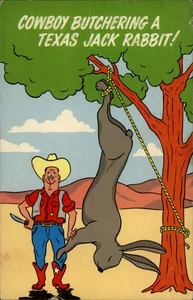 Cowboy Butchering A Texas Jack Rabbit TX Postcard - Picture 1 of 2
