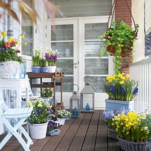 6 Sets Chlorophytum Pot Plastic Hanging Planter Wall Planters for Indoor Plants - Picture 1 of 12