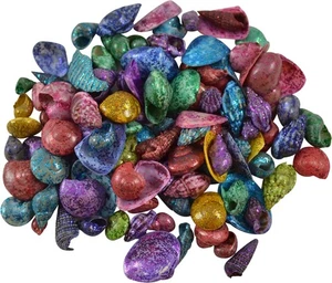 Shell Mix Pequeñas Conchas Marinas Brillantes .5-.75" (1 Kilo) (aprox 3000 piezas) - Imagen 1 de 1