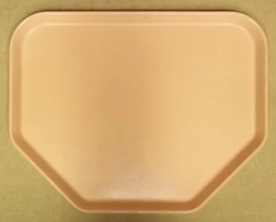 Bandejas Cafetería Fibra de Vidrio 18 pulgadas x 14 pulgadas Rosa Lote de 25         Foto 1 de 3