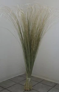 Strandhafer Natur Dekoration Strandgras Deko Gras Trockenblumen Grün 120 cm hoch - Bild 1 von 9