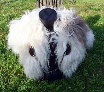 Wikinger Fell Umhang in weiß mit Drachen Broschen. Iceland Fell, Larp. - Bild 1 von 4