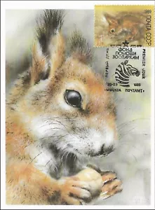 Squirrel Eats Nuts Cute Fauna Forest Russia Mint Maxi FDC Card 1989 - Picture 1 of 1