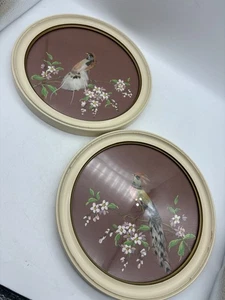 Par de arte vintage de plumas para pájaros de 9′′ redondo con marco de vidrio decoración de pared boho - Imagen 1 de 5