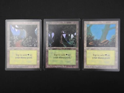 3 Card Forest Land Set NM/LP [Limited Edition Beta] Mtg Magic Free Tracking! - Image 1 of 4