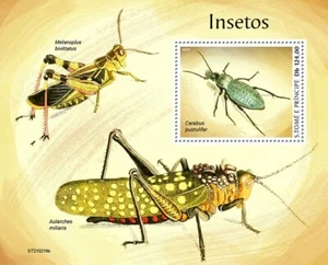 Sao Tome & Principe 2021 MNH Insects Stamps Beetles 1v S/S - Picture 1 of 1