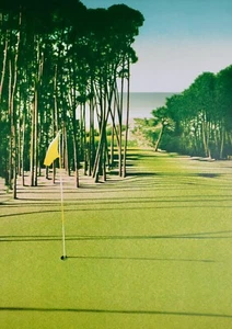 Daniel SCIORA - Estampe originale - Lithographie - Green de golf - Imagen 1 de 4