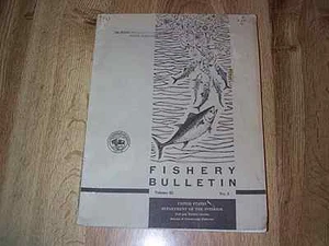 Annual Marks On Shell And Ligament Of Sea Scallop by Arthur Merrill ILLUS 1966 - Picture 1 of 4