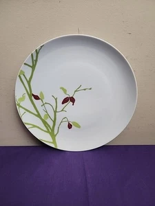 Rachel Ray Jahreszeiten wechselnder 10,5" Essteller kostenloser Versand - Bild 1 von 3