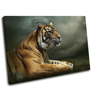 Tiger Leinwand Tier Wandbild Kunstdruck Bild 17 Galeriequalität - Bild 1 von 7