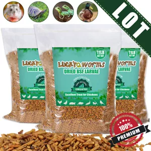 Dried Black Soldier Fly Larvae Mealworms for Chickens Fish Turtles Hen Birds LOT - Picture 1 of 11