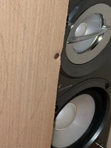 2 Sehr gute Boxen von Sony - Bild 1 von 2