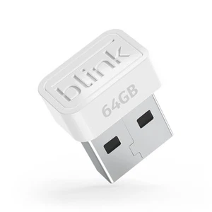 USB Stick für lokalen Videospeicher mit Sync Modul 2 - Bild 1 von 2